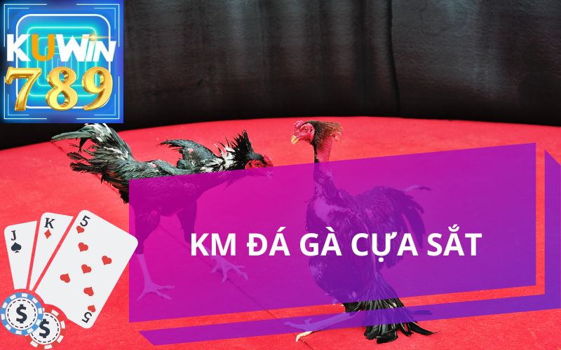 ĐÁ GÀ CỰA SẮT KUWIN