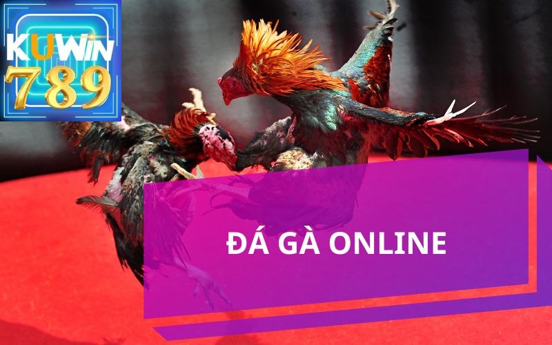 CHƠI ĐÁ GÀ ONLINE TẠI KUWIN