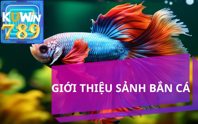 GIỚI THIỆU SẢNH BẮN CÁ KUWIN