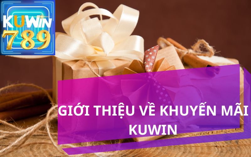 GIỚI THIỆU CÁC TRƯƠNG TRÌNH KHUYẾN MÃI TẠI KUWIN